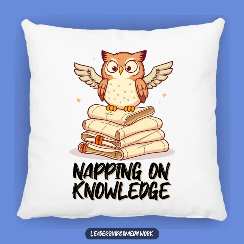 Funny Owl Scrolls Pillow: Wise Comfort - Adorable Funny Gift Throw